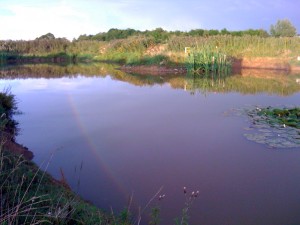 ngler Pond