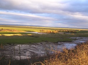 Dow brook Freckleton