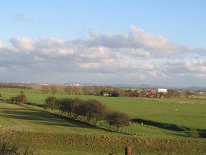 Freckleton Marsh