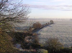 Freckleton Marsh Winter 2005