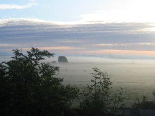 Freckleton Marsh mist