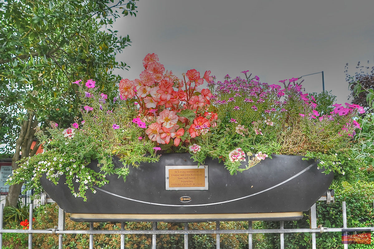 Freckleton In-Bloom