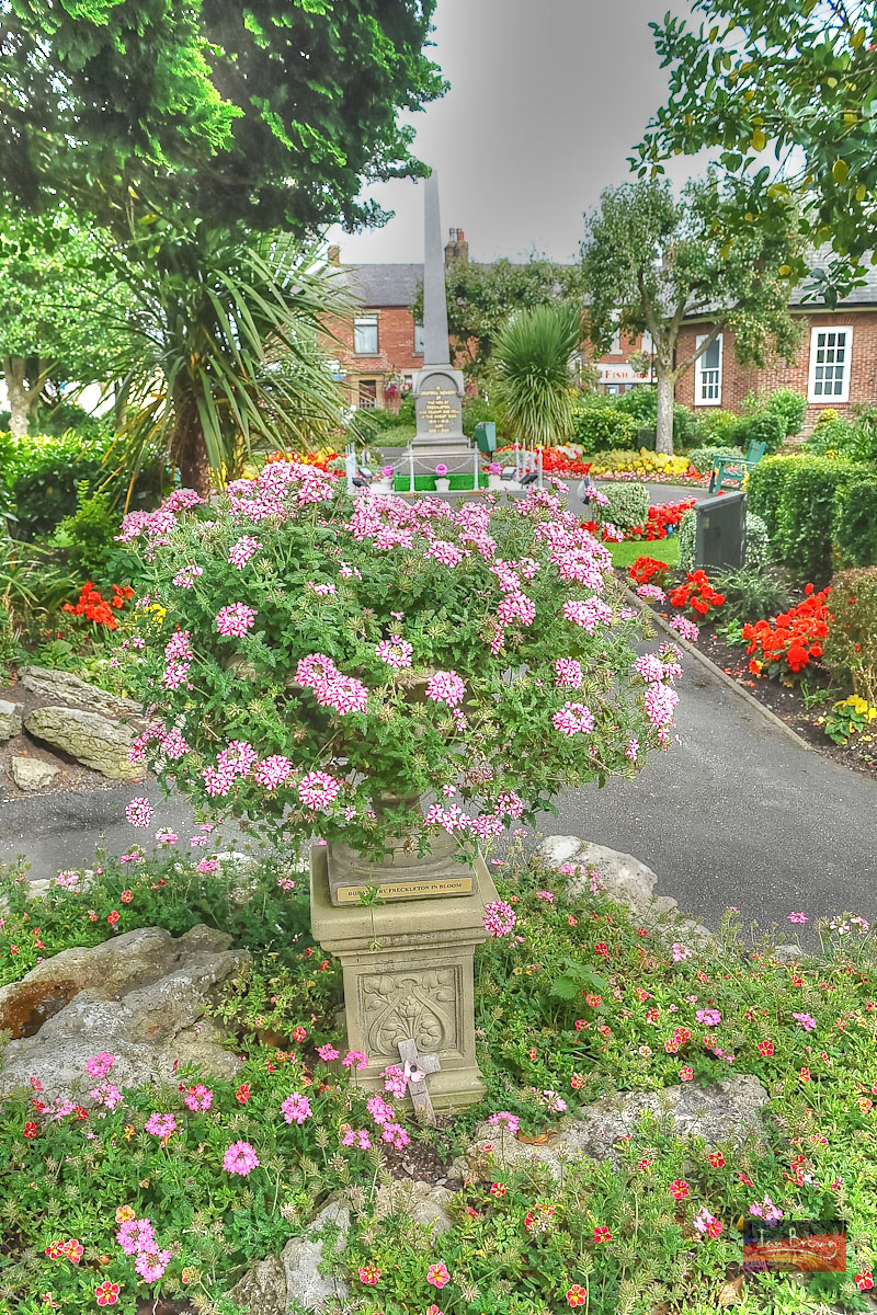 Freckleton In-Bloom