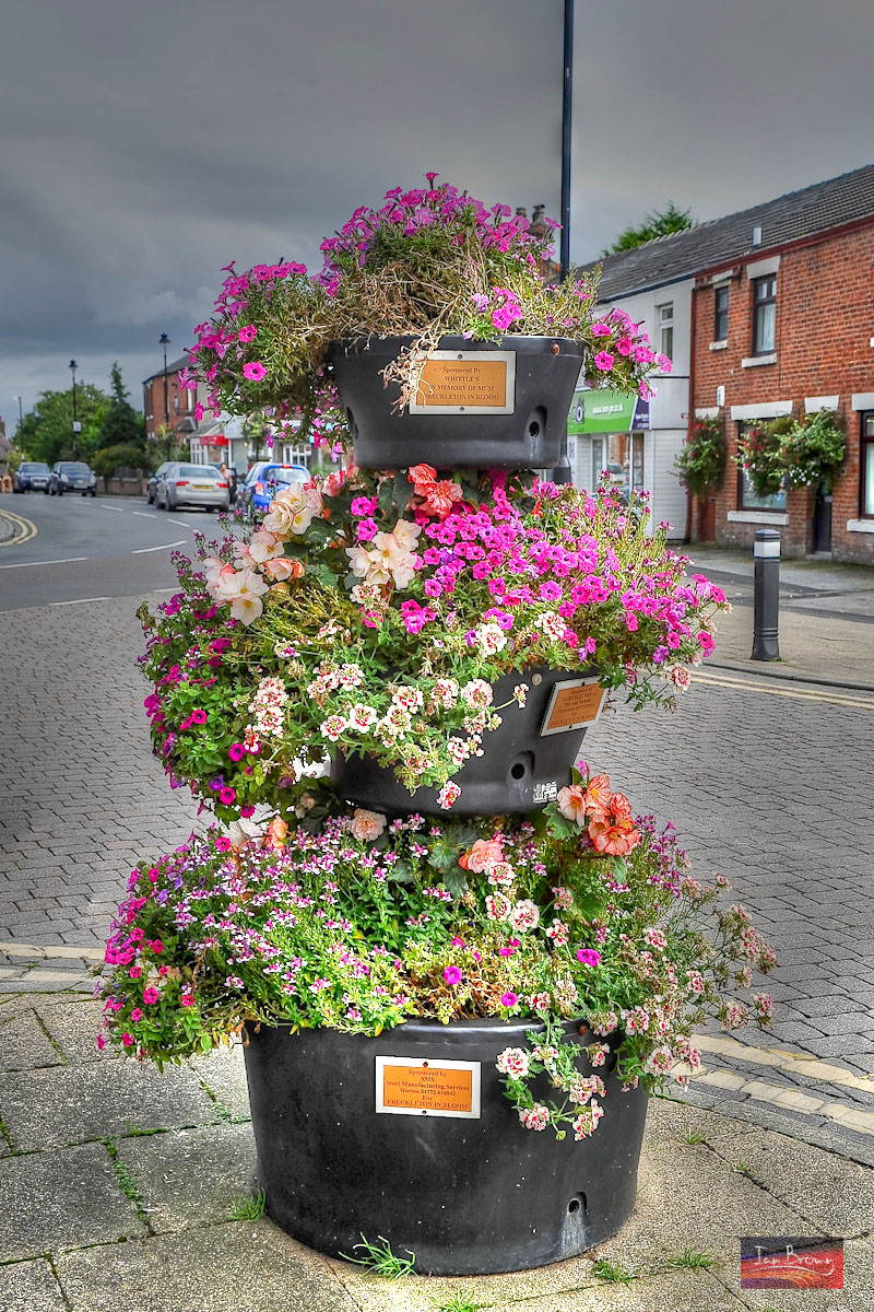 Freckleton In-Bloom