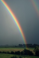 Rainbow over the marsh