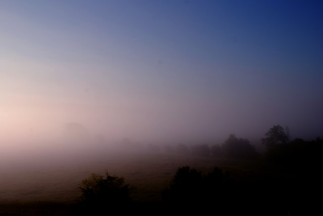 mist004.jpg
