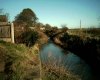 Freckleton river