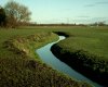 River Dow at Freckleton