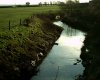 River Dow at Freckleton