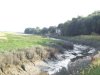 River Dow at Freckleton