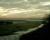 View over the estuary