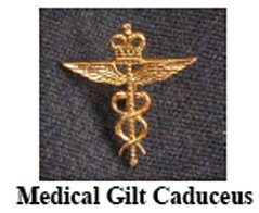RAF Medical badge